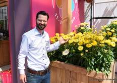 Erwin Giezen van MNP presenteerde zijn Xerochrysum (Bracteantha/Helichrysum) Granvia Gold.